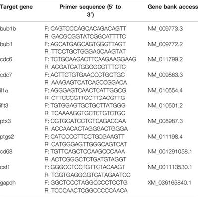 Heat Stress Modulates a Placental Immune Response Associated With Alterations in the Development of the Fetal Intestine and Its Innate Immune System in Late Pregnant Mouse